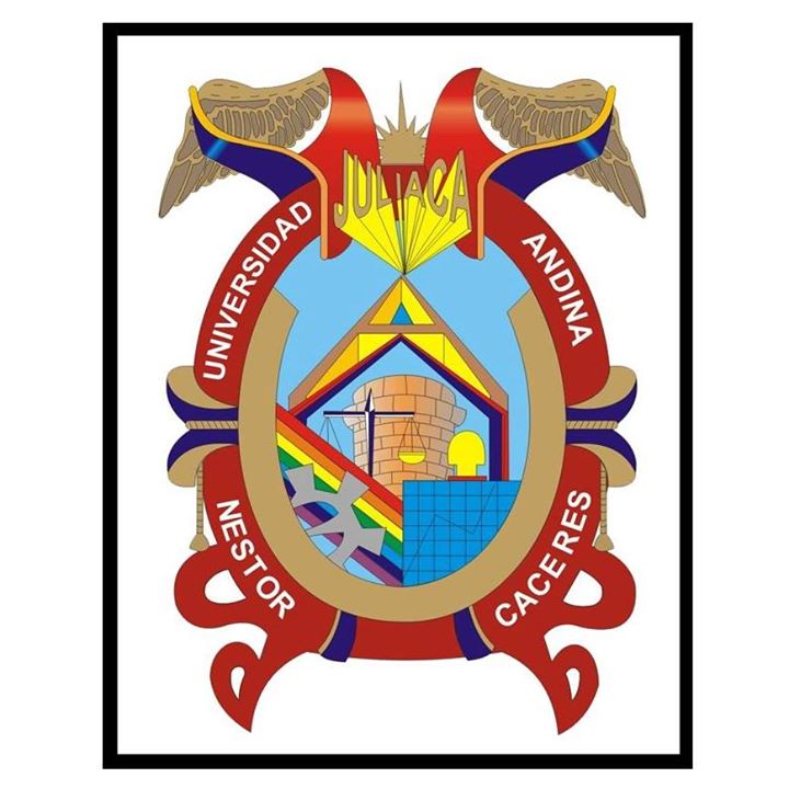 UNIVERSIDAD ANDINA NESTOR CACERES VELASQUEZ